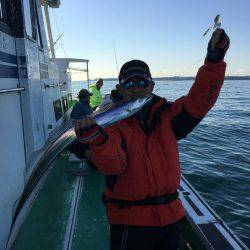 金沢八景鴨下丸 釣果