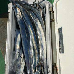 金沢八景鴨下丸 釣果