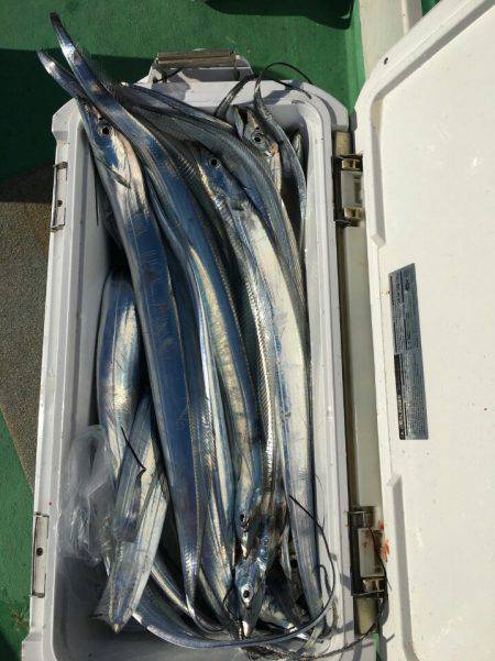 金沢八景鴨下丸 釣果