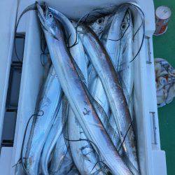 金沢八景鴨下丸 釣果