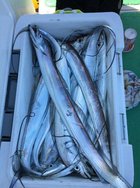 金沢八景鴨下丸 釣果