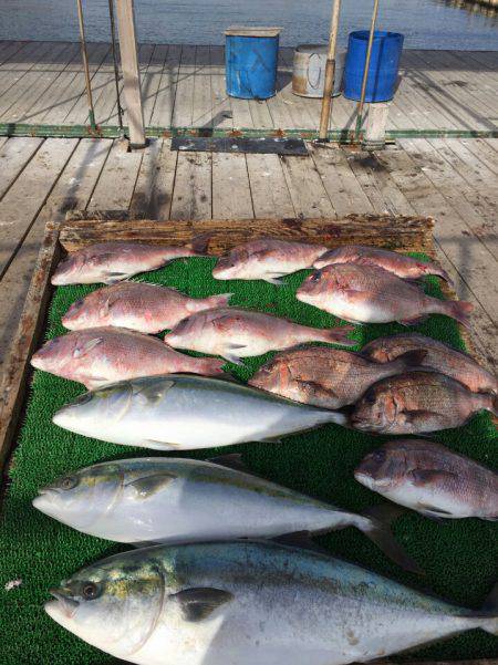 海の釣堀 海恵 釣果