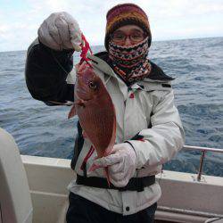 ARCADIAⅡ （アルカディアⅡ） 釣果