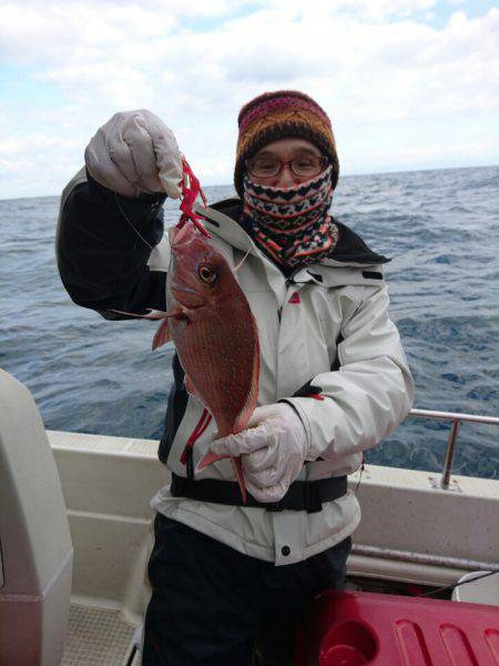 ARCADIAⅡ （アルカディアⅡ） 釣果