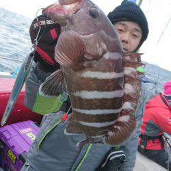 ARCADIAⅡ （アルカディアⅡ） 釣果