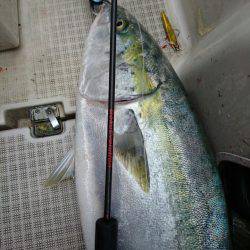 ARCADIAⅡ （アルカディアⅡ） 釣果