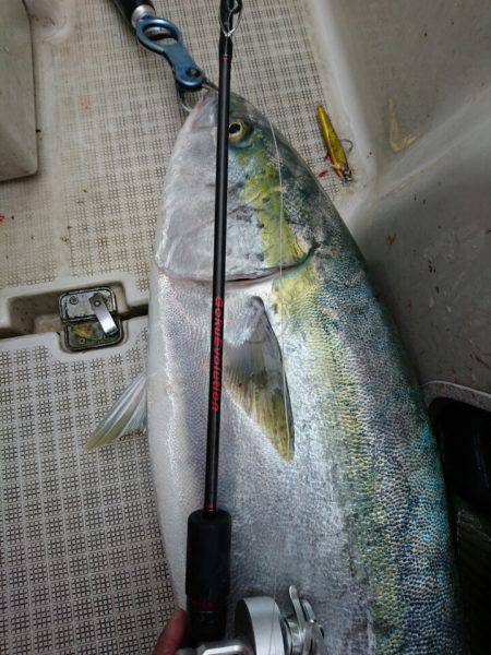 ARCADIAⅡ （アルカディアⅡ） 釣果