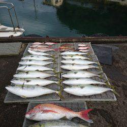 ARCADIAⅡ （アルカディアⅡ） 釣果