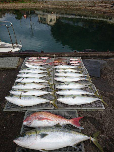 ARCADIAⅡ （アルカディアⅡ） 釣果