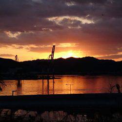 ARCADIAⅡ （アルカディアⅡ） 釣果