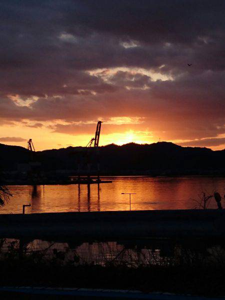 ARCADIAⅡ （アルカディアⅡ） 釣果