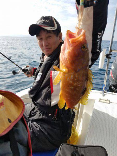 ソルトウォーターガイドフレンズ 釣果