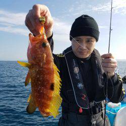 ソルトウォーターガイドフレンズ 釣果