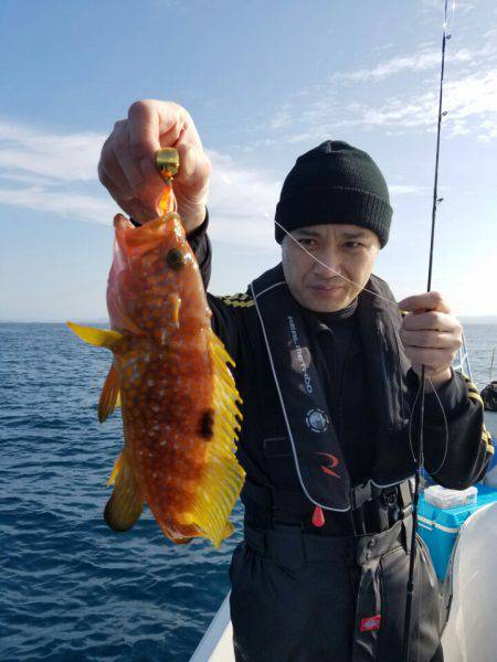 ソルトウォーターガイドフレンズ 釣果