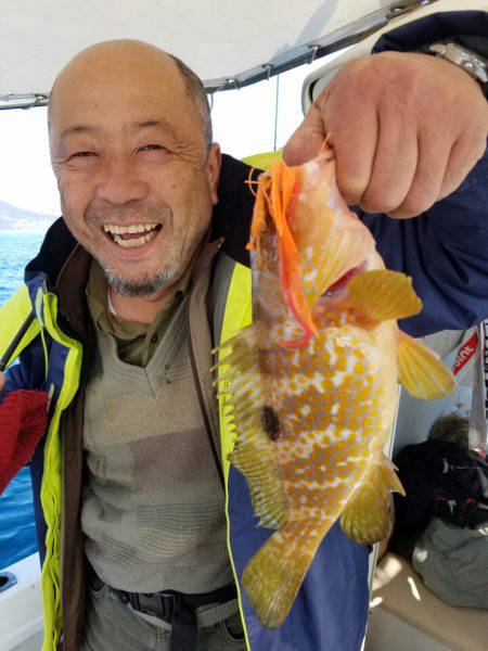 ソルトウォーターガイドフレンズ 釣果