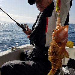 ソルトウォーターガイドフレンズ 釣果