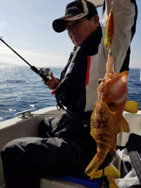 ソルトウォーターガイドフレンズ 釣果