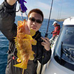 ソルトウォーターガイドフレンズ 釣果