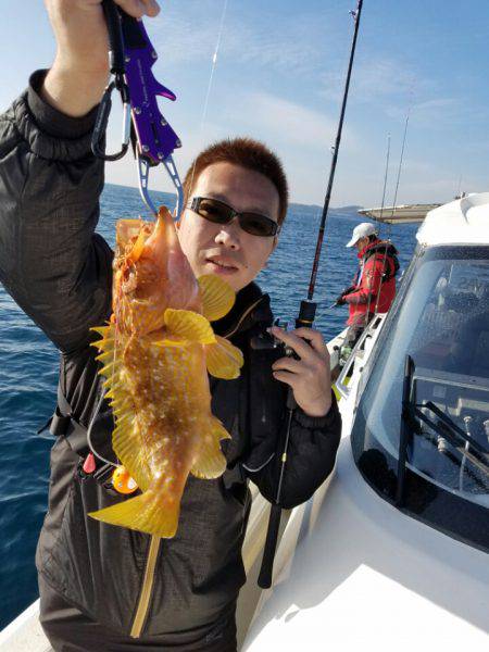 ソルトウォーターガイドフレンズ 釣果