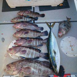 エンペラー 釣果