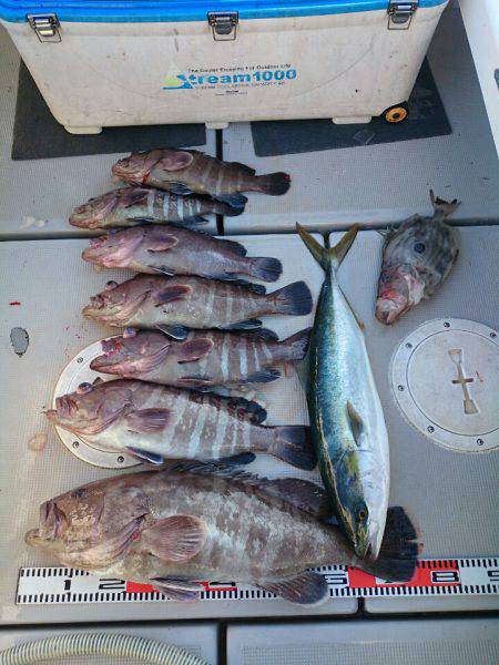 エンペラー 釣果