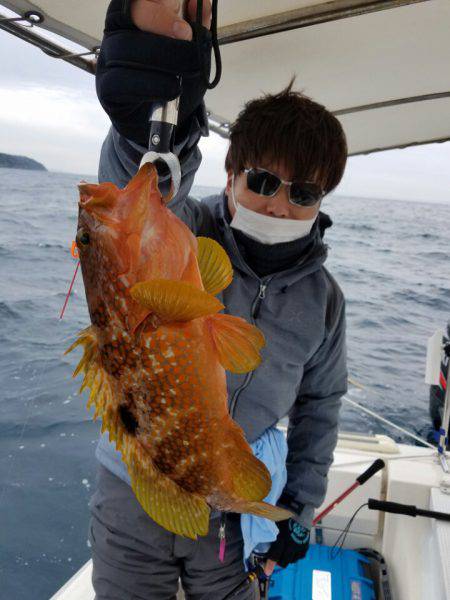 ソルトウォーターガイドフレンズ 釣果