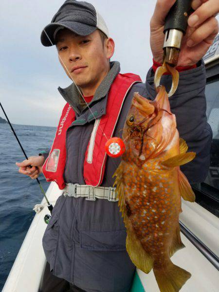 ソルトウォーターガイドフレンズ 釣果