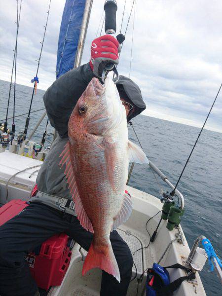 ARCADIAⅡ (アルカディアⅡ) 釣果