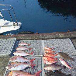 ARCADIAⅡ (アルカディアⅡ) 釣果