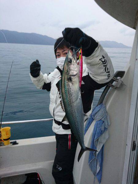 ARCADIAⅡ (アルカディアⅡ) 釣果