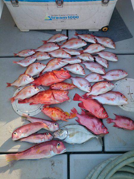 エンペラー 釣果