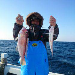 エンペラー 釣果