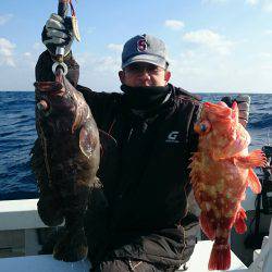 エンペラー 釣果