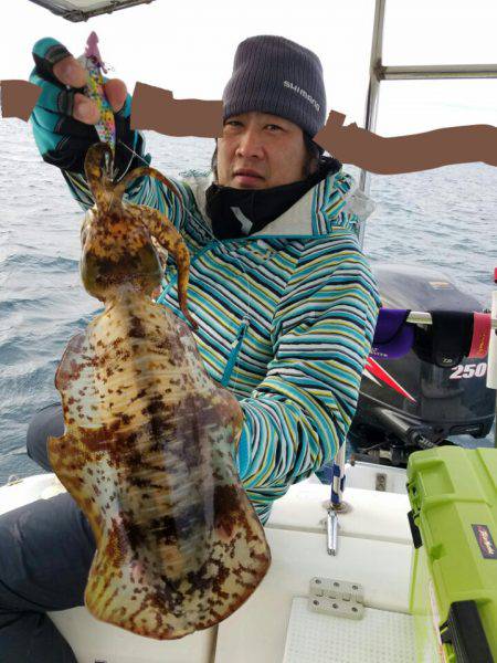 ソルトウォーターガイドフレンズ 釣果