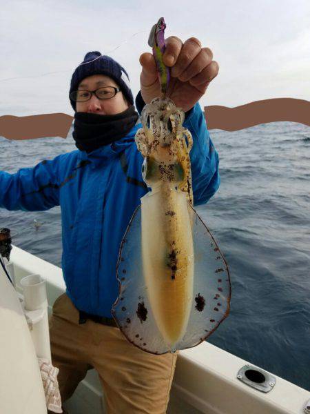 ソルトウォーターガイドフレンズ 釣果