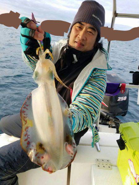 ソルトウォーターガイドフレンズ 釣果