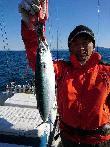 ARCADIAⅡ （アルカディアⅡ） 釣果…