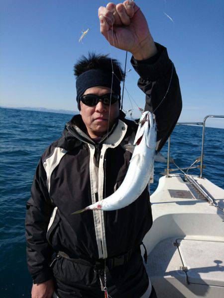 ARCADIAⅡ (アルカディアⅡ) 釣果