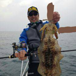 ソルトウォーターガイドフレンズ 釣果