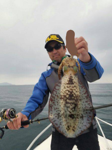 ソルトウォーターガイドフレンズ 釣果