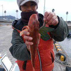 ありもと丸 釣果