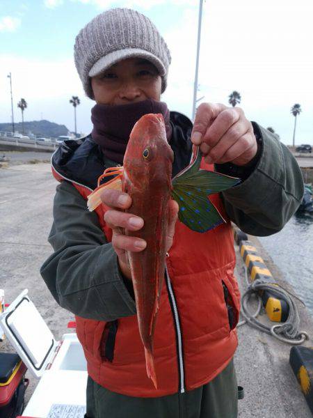 ありもと丸 釣果