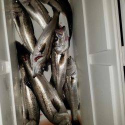 海龍丸(島根) 釣果