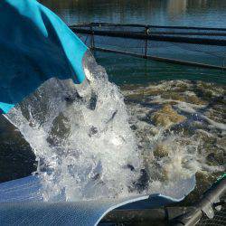 加賀フィッシングエリア 釣果