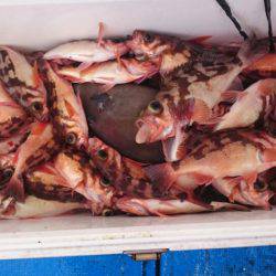 海龍丸（石川） 釣果