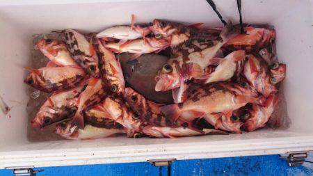 海龍丸（石川） 釣果