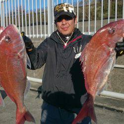 だて丸 釣果