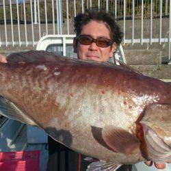 だて丸 釣果