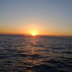 THESEAMAN(ザシーマン) 釣果