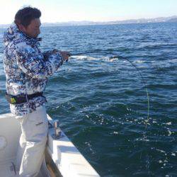 THESEAMAN(ザシーマン) 釣果